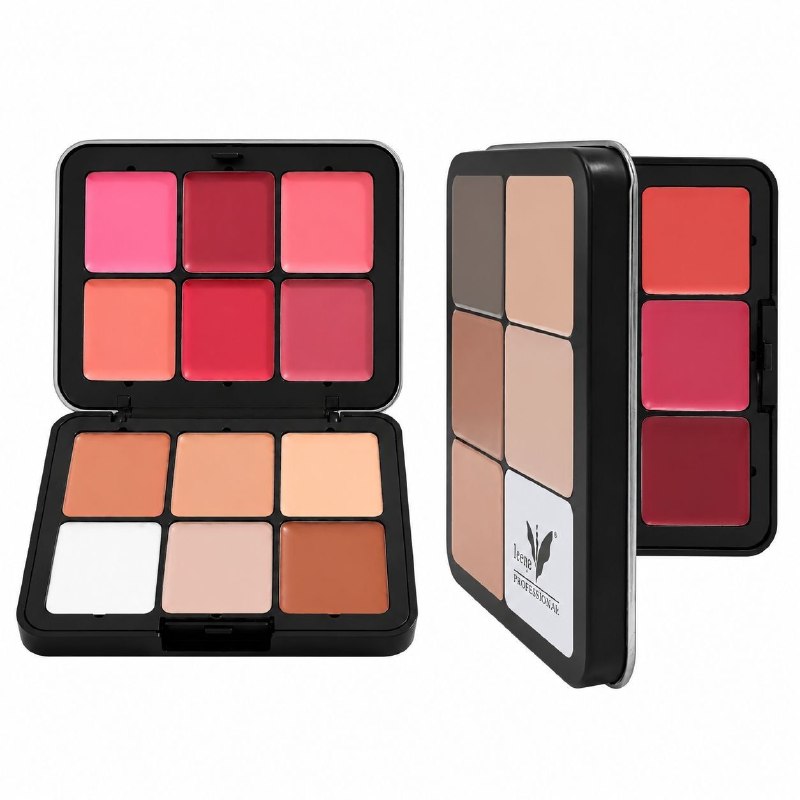 PALETA DE CORRECTOR Y RUBOR EN CREMA DAROGE 24G