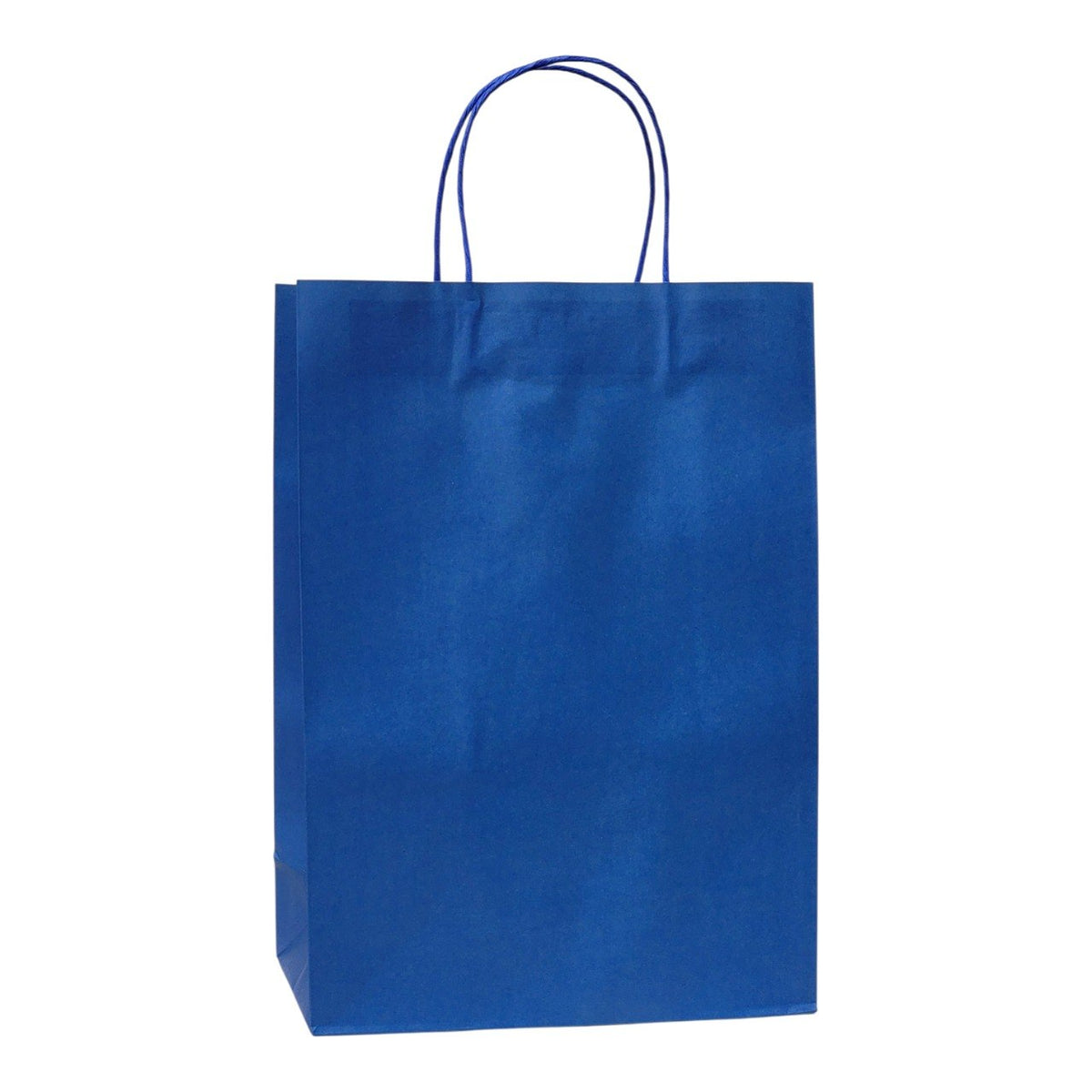 BOLSA DE REGALO GRANDE 35X25X12CM