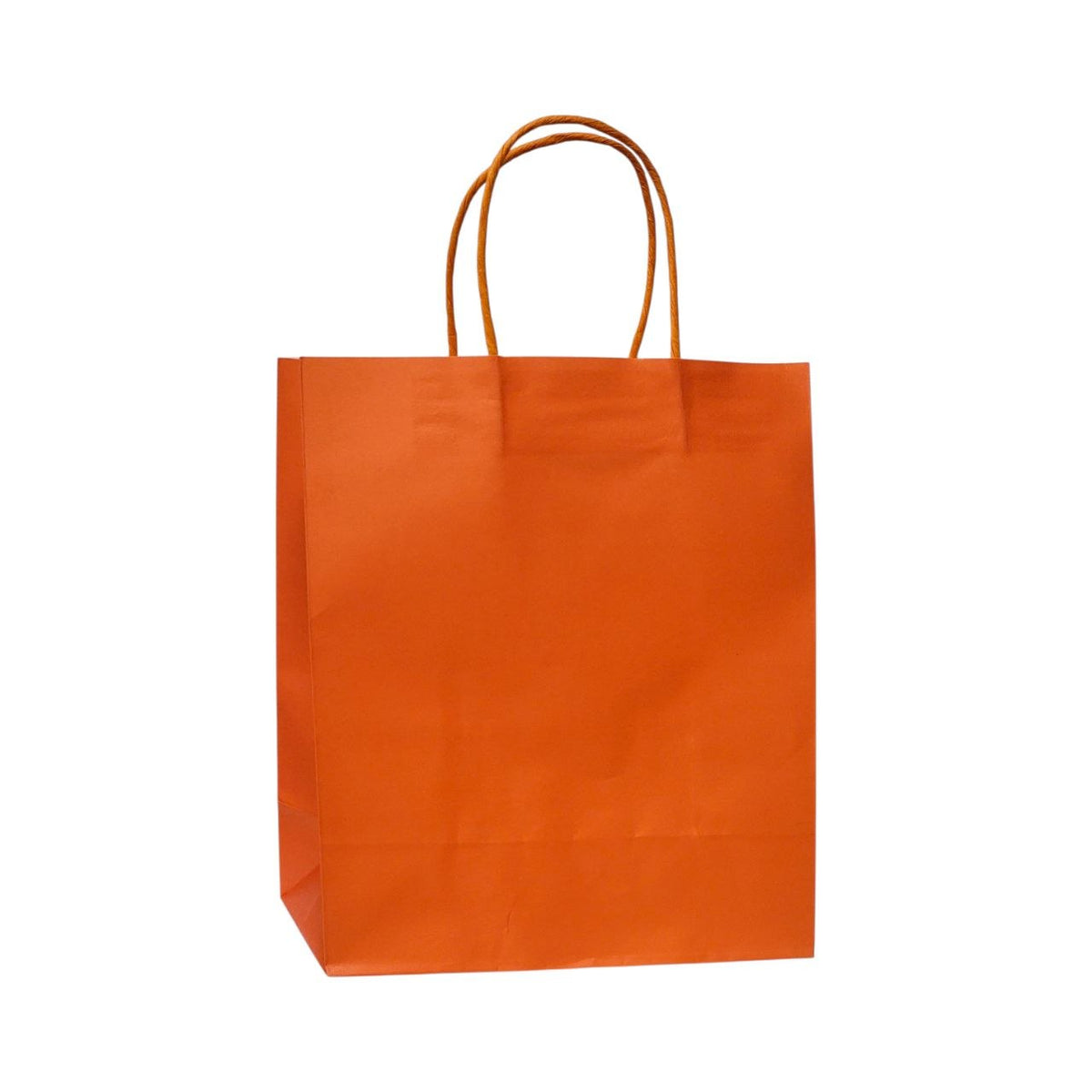 BOLSA DE REGALO MEDIANA 26X22X11CM