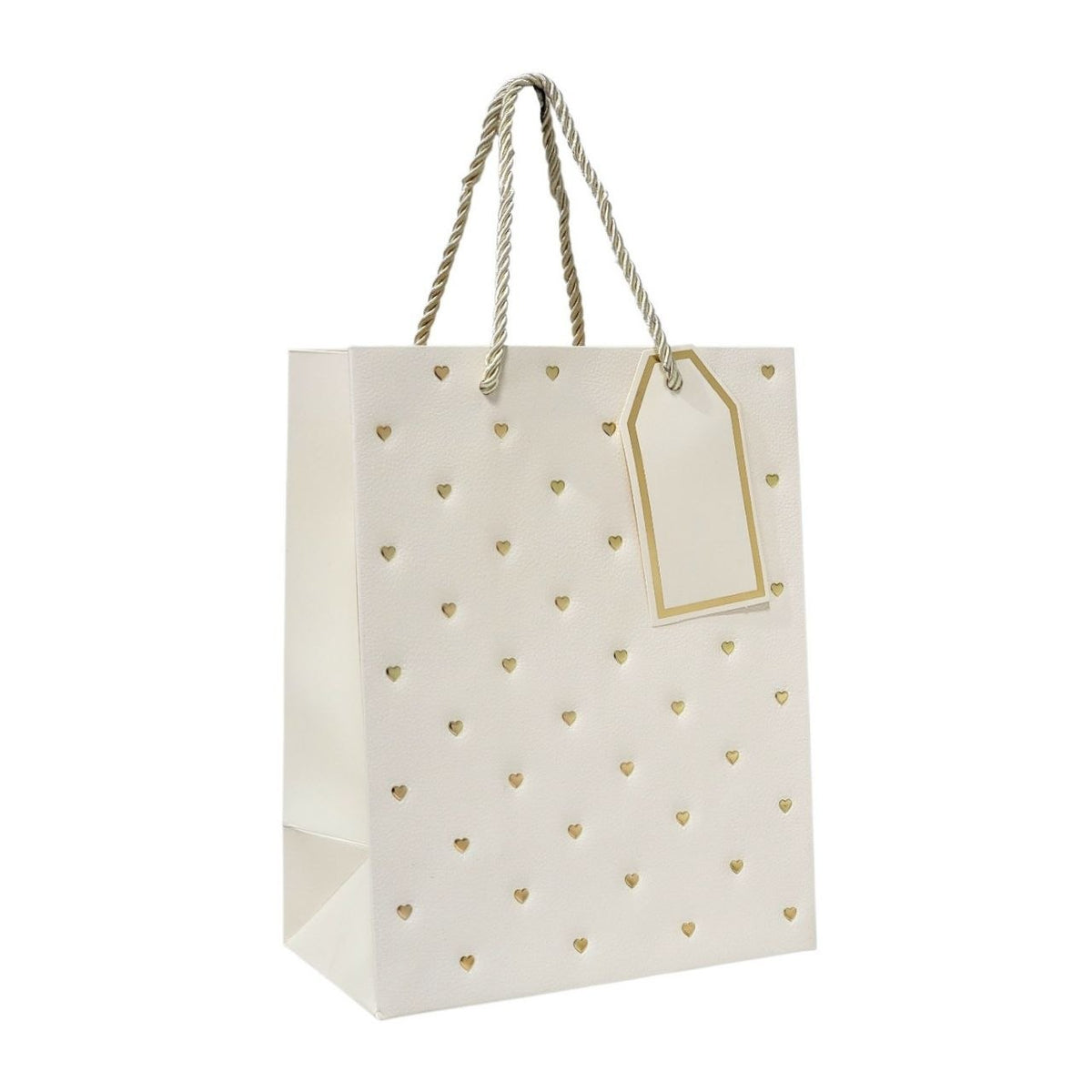 BOLSA DE REGALO MEDIANA 18X10X23CM