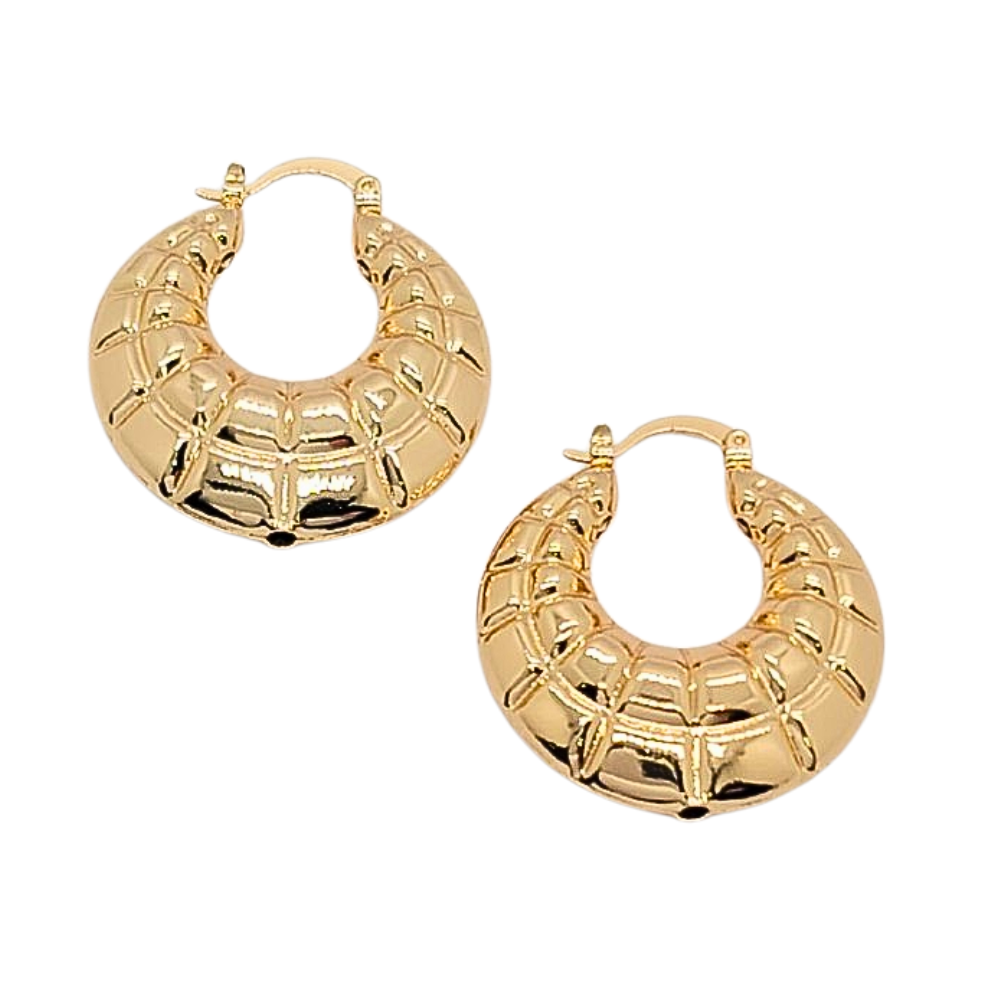 EARGO1720