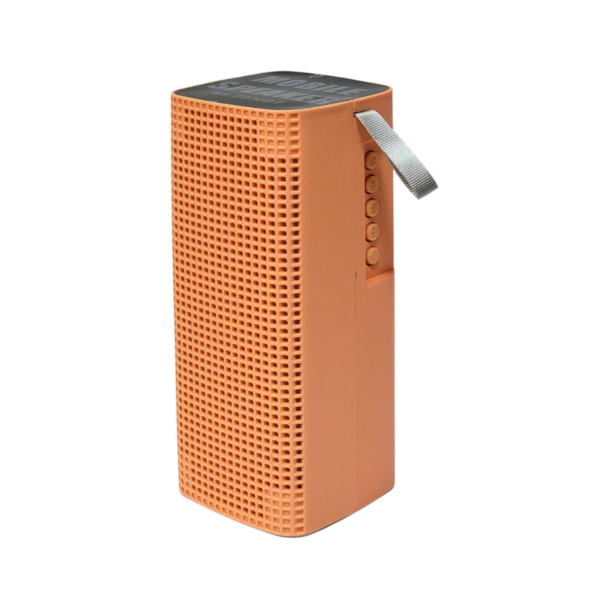 PARLANTE ALTAVOZ INALÁMBRICO PORTÁTIL CON LUCES LED MS-2230BT 17CM