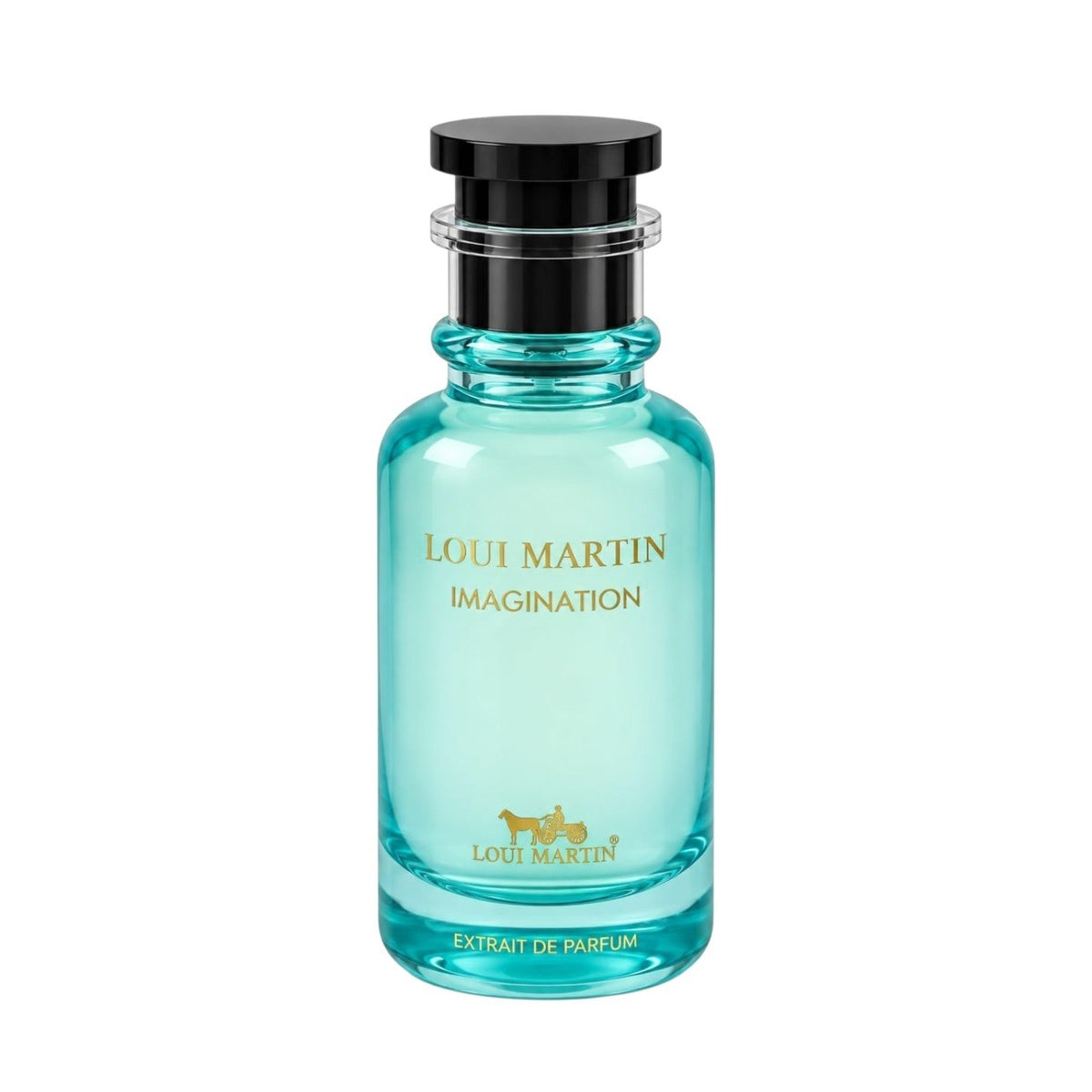 LOUI MARTIN IMAGINATION EXTRAIT DE PARFUM 100ML (H)