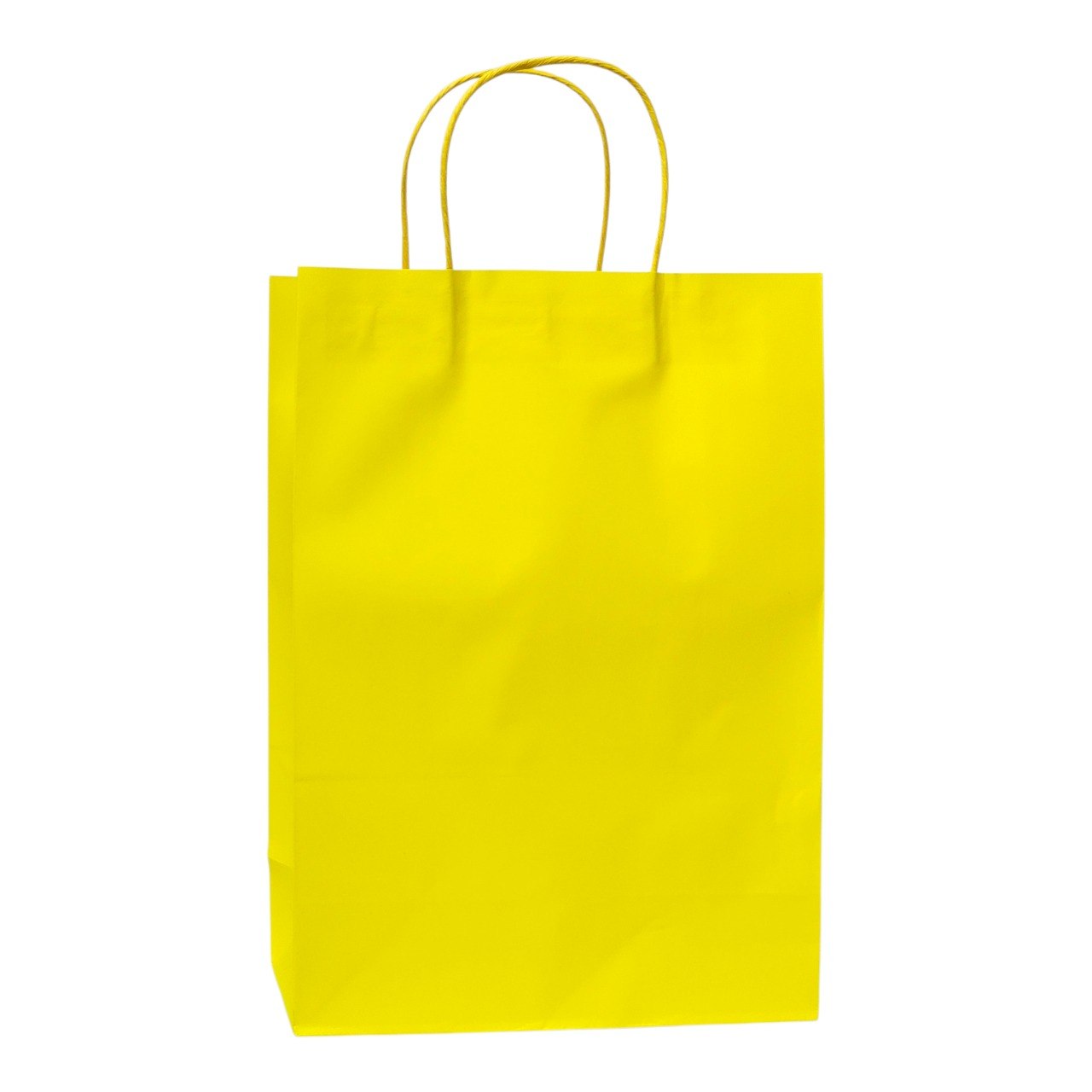 BOLSA DE REGALO GRANDE 35X25X12CM