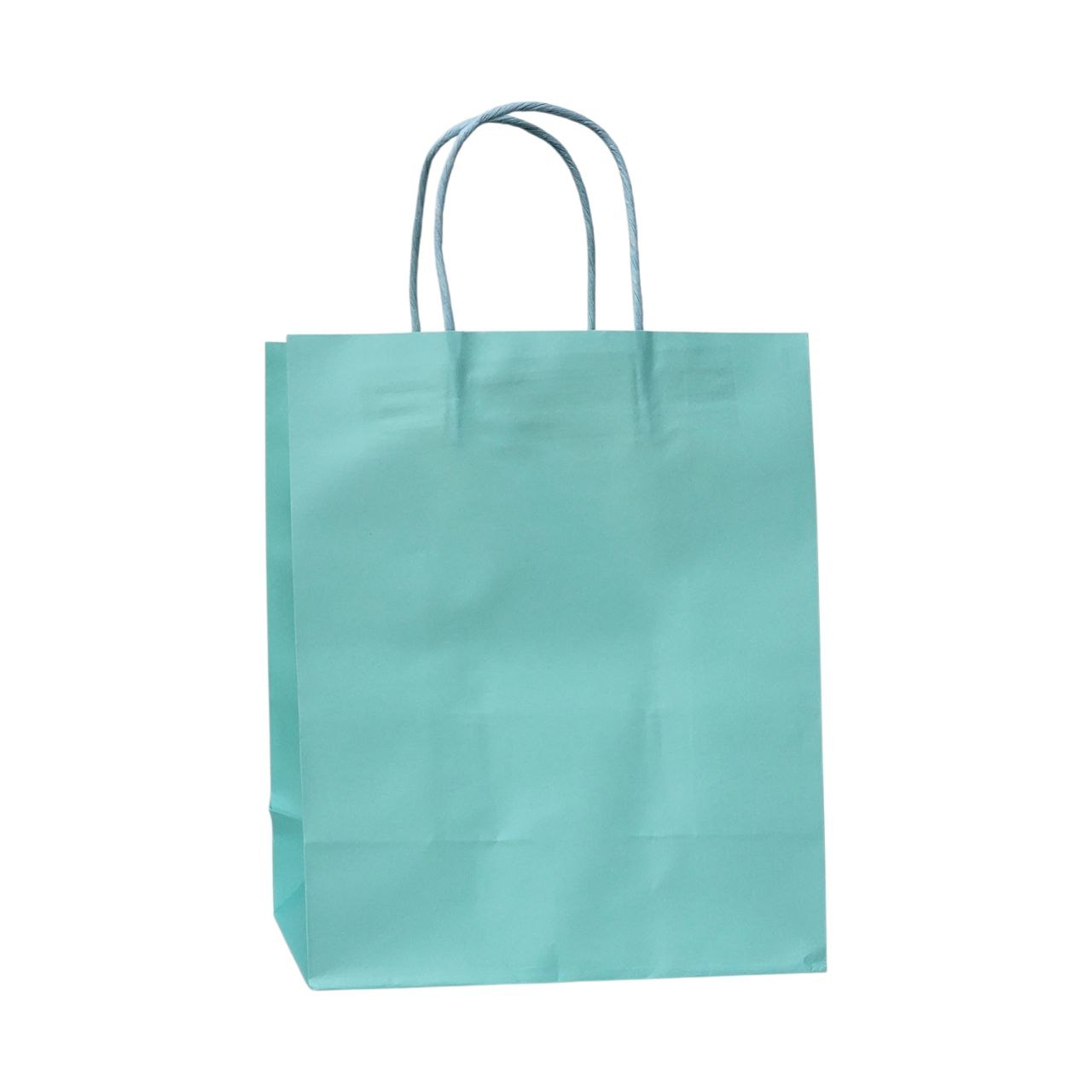 BOLSA DE REGALO MEDIANA 26X22X11CM