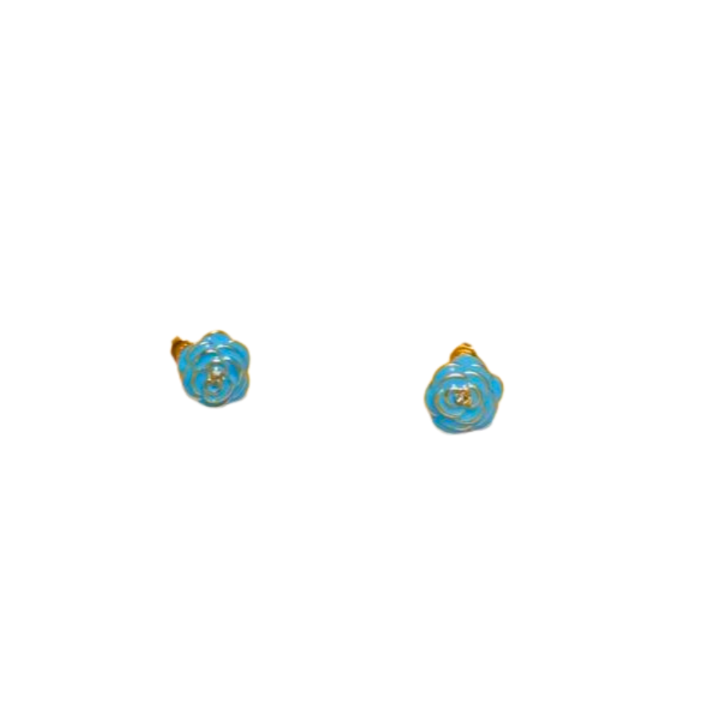 EARI2043