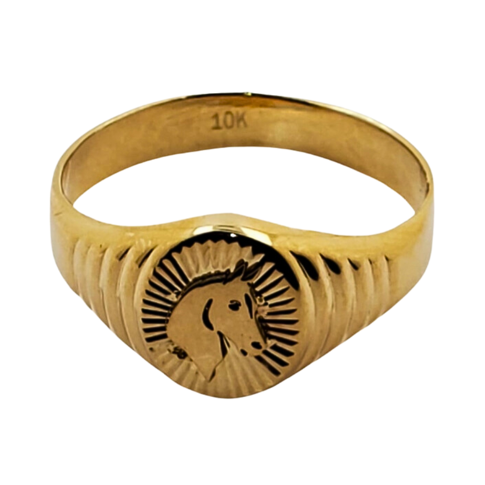 OANI827 FORMA CABALLO