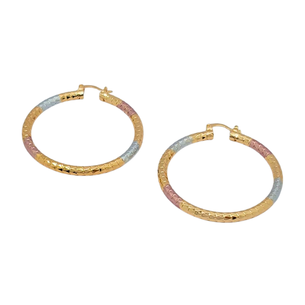 EARGO1750