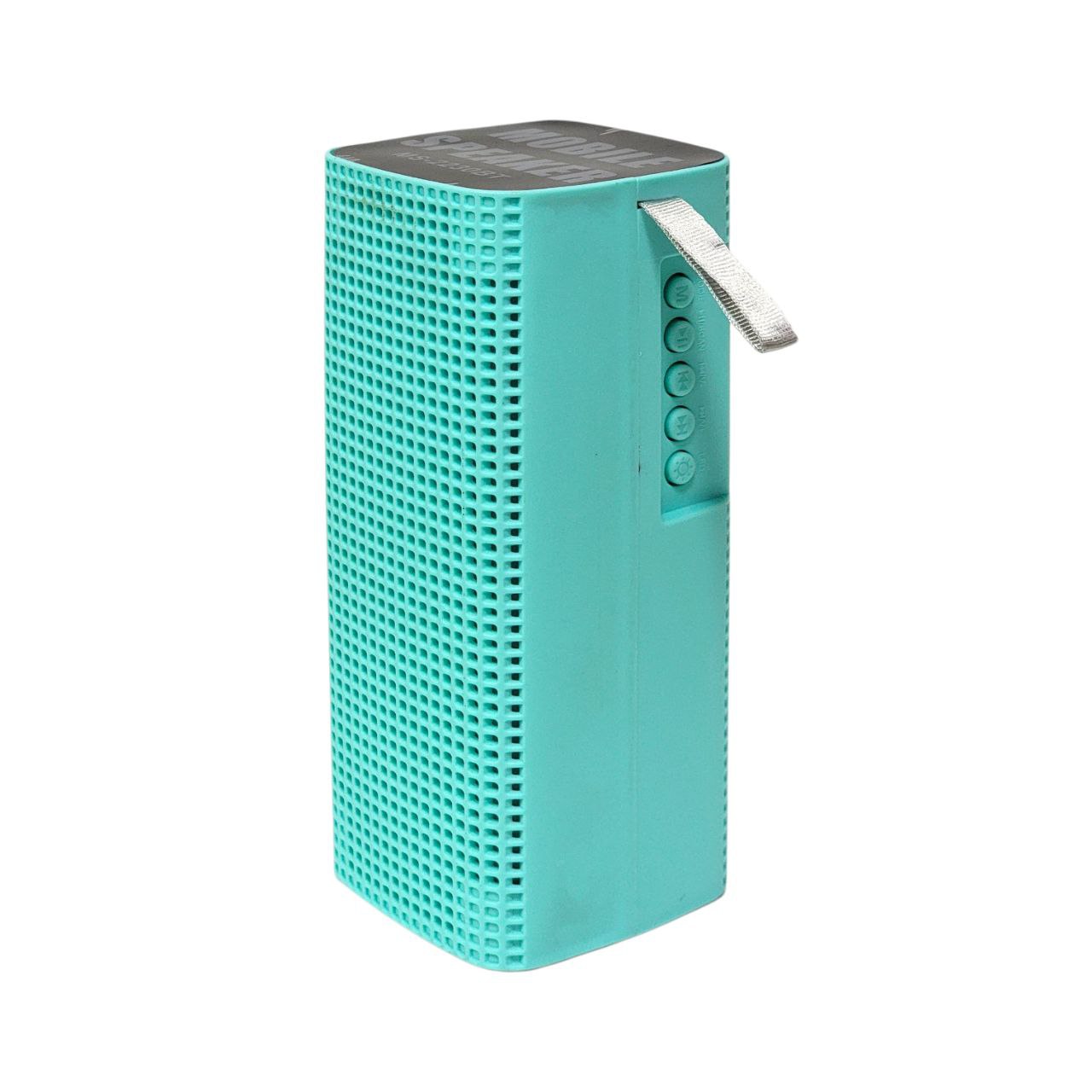 PARLANTE ALTAVOZ INALÁMBRICO PORTÁTIL CON LUCES LED MS-2230BT 17CM