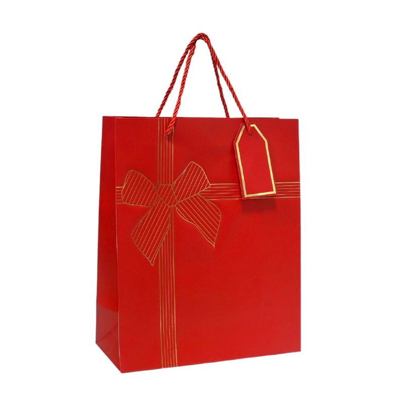 BOLSA DE REGALO DE MEDIANA 26X32X10CM