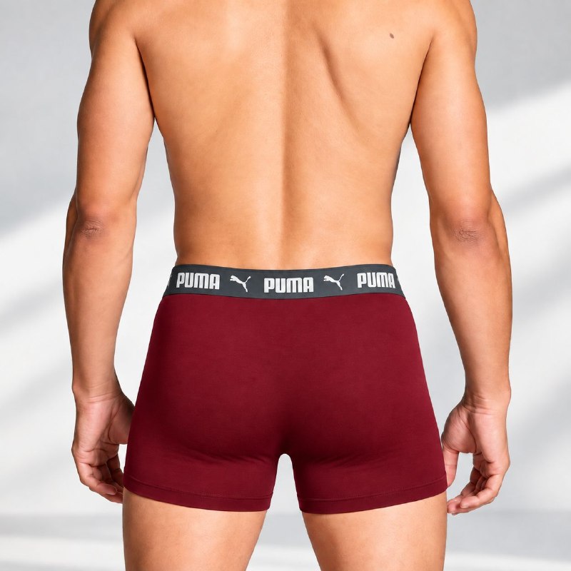 ROPA INTERIOR PARA CABALLERO PUMA BOXER BRIEF 5 UNIDADES TALLA (M) 32-34