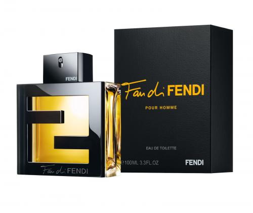 FAN DI FENDI 3.4 100ML EDT SP FOR MEN