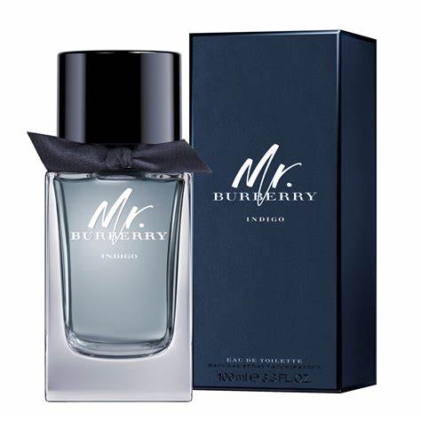 MR BURBERRY INDIGO EDT 100 ML